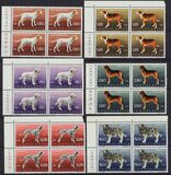 [Dog Breeds, Tip BDN]