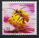 [Fauna - Bees, प्रकार CRH]