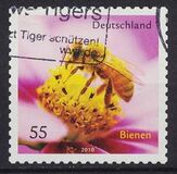 [Fauna - Bees, प्रकार CRH]