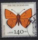 [Youth Hostel - Butterflies, Scrivi AWQ]