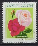 [Roses, tyyppi FZ]
