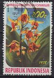 [Orchids, Tipe AIP]