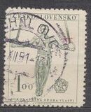 [The 9th Sokol Congress, type DN]