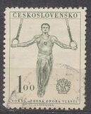 [The 9th Sokol Congress, type DN]