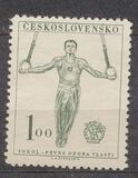 [The 9th Sokol Congress, type DN]