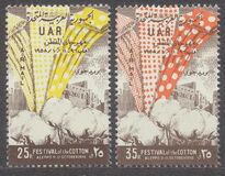 [Cotton Festival - Aleppo, type S]