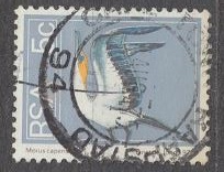 [Flora and Fauna, type NK]