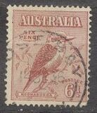 [Kookaburra, type P]