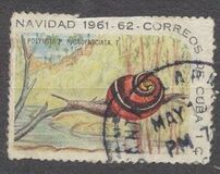 [Christmas, тып YF]