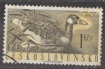 [Aves acuáticas., tipo ZC]