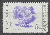 [Domestic Animals, տեսակ EKK]