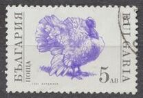 [Domestic Animals, տեսակ EKK]