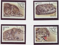 [The Snow Leopard, type X]