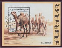 [Stamps marked "République Sahraoui", "Saharan Republic" or "Sahara Occ. R.A.S.D" relate to a disputed area. The Morocco Postal Service has stated that they do not regard these stamps as legitimate, type A]