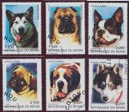 [Not Issued - Dogs, тип QQA]