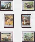 [Sea Birds, 类型 BTV]