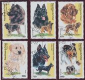 [Dogs, Typ ATO]