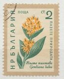 [Flowers, type AJU]