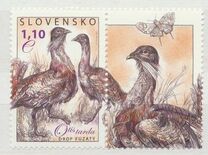 [Birds - Great Bustard, प्रकार VK]