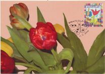 [Worlds Children´s Day, type QN]