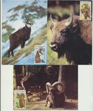 [Nature Conservation, tyyppi FR]