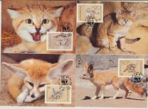 [Wildlife Protection, タイプ OG]