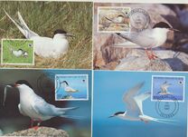 [Endangered Animals - Roseate Tern, տեսակ MC]