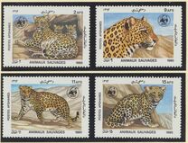 [WWF - Leopard, տեսակ ADH]