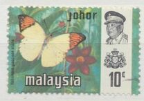 [Butterflies, type AY]