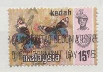 [Butterflies, type AY]