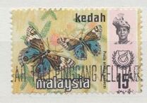 [Butterflies, type AY1]