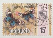 [Butterflies, type AP]
