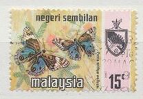 [Butterflies, type AP1]