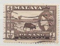 [Queen Elizabeth II & Local Motives, type L]