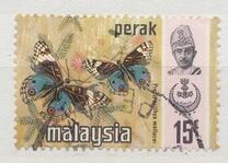 [Butterflies, type AV]