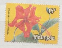 [Flowers, type E]