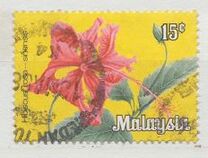 [Flowers - As Previous, Not Watermarked, tipas E1]