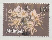 [Flowers, type D]