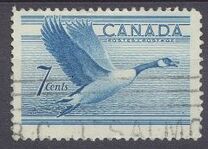 [Birds - Canada Goose, tip GD]