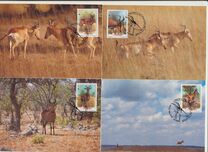 [Lichtenstein's Hartebeest, Scrivi AGM]