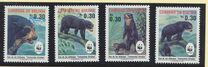 [The Spectacled Bear, प्रकार AII]