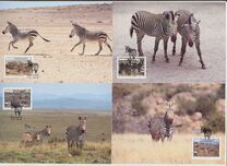 [Endangered Species - Mountain Zebra, тип AI]