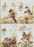 [World Wildlife Fund - Birds - Bullfinch, type EB]