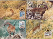 [Walia Ibex, 類型 ARV]