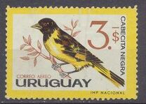 [Airmail - Birds, Tip OZ]