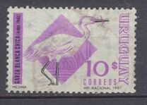 [Birds, tip UE]