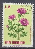 [Flowers, typ YJ]