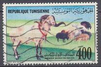 [Ram Museum, type ACQ]