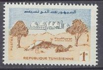 [Living in Tunisia, тып DR]
