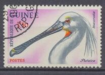 [Birds, type BC]